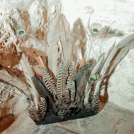 La Cueva En La Provincia De Cadiz, Ideal Parejas * Medina-Sidonia